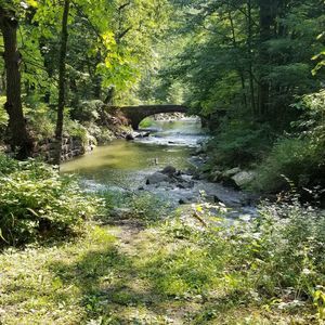 Meet your Posher, Keri